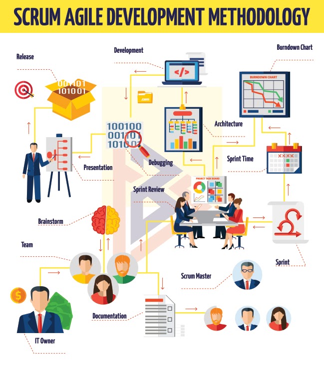 Agile Scrum Roles