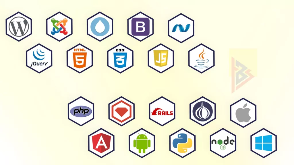 10 Skills Required to be a Proficient Angular Developer 