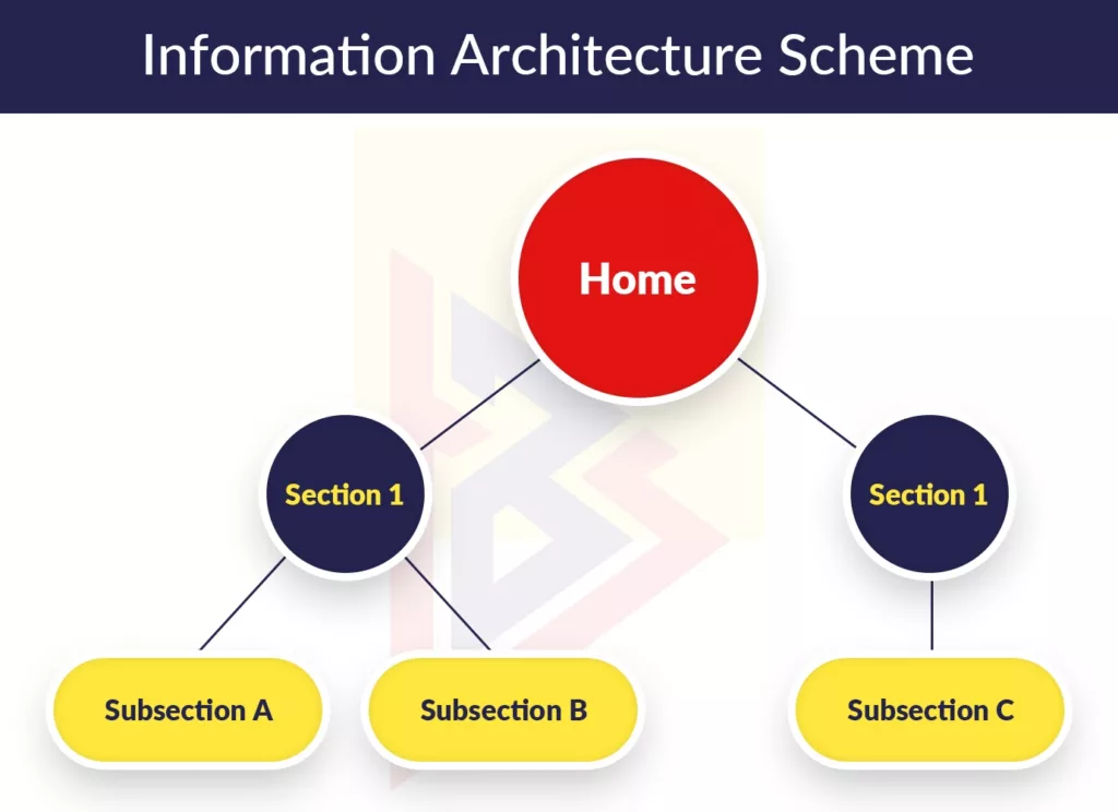 Information architecture setup