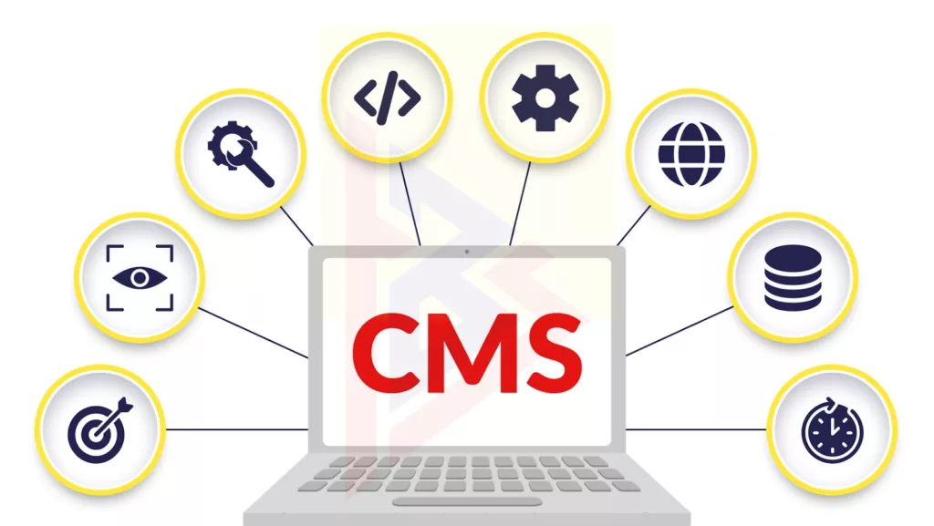 CMS types