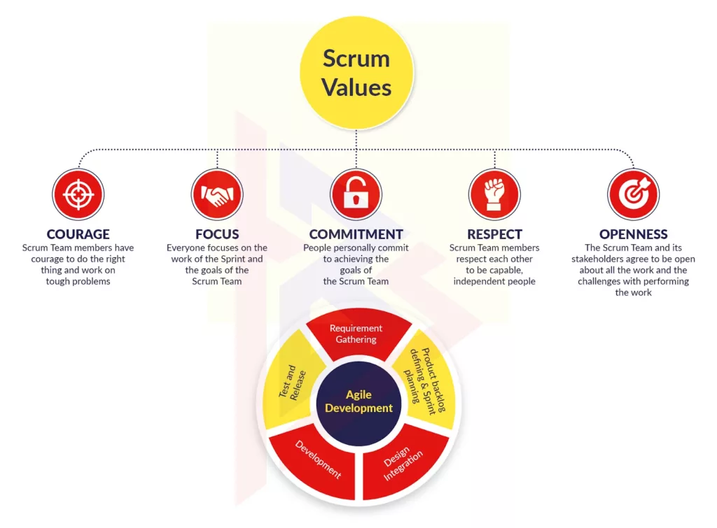 Agile and Scrum Methodology Differences